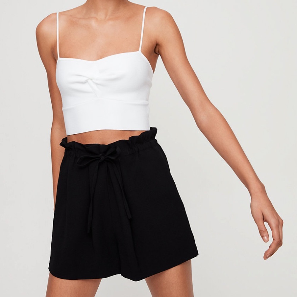 Aritzia Salim Shorts
